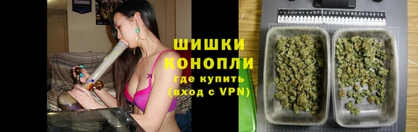 сатива Елизово
