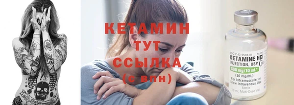 сатива Елизово