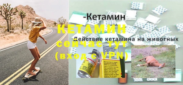 PSILOCYBIN Елабуга