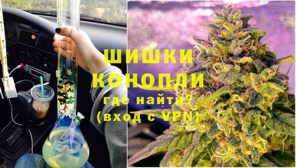 сатива Елизово