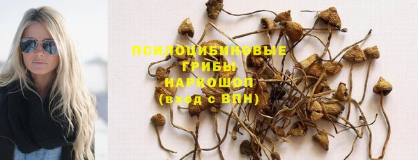 PSILOCYBIN Елабуга