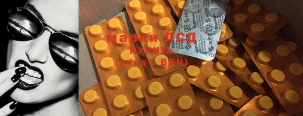 PSILOCYBIN Елабуга
