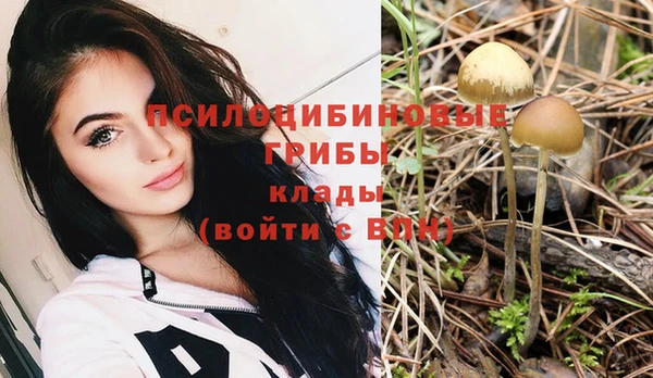 mdma Ельня