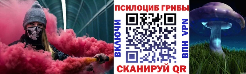 купить   Сургут  Псилоцибиновые грибы Magic Shrooms 