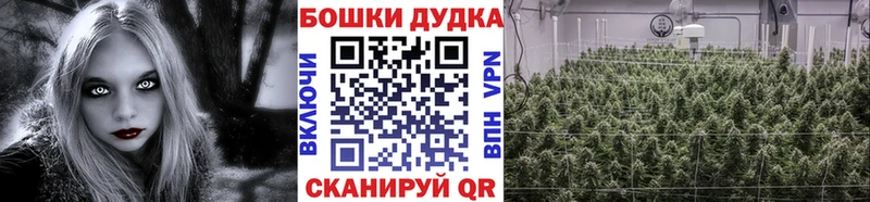 Каннабис ГИДРОПОН  Сургут 
